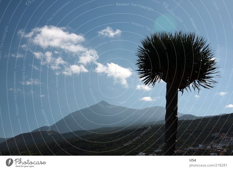 Struwelpeter Landschaft Himmel Wolken Baum Berge u. Gebirge Vulkan exotisch Farbfoto Außenaufnahme Tag Silhouette Sonnenlicht Gegenlicht