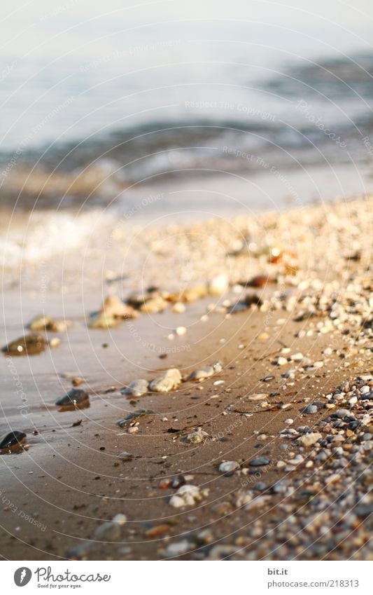 Strand Freiheit Natur Landschaft Urelemente Erde Sand Wasser Sonnenaufgang Sonnenuntergang Sonnenlicht Sommer Schönes Wetter Wellen Küste Seeufer Bucht Meer