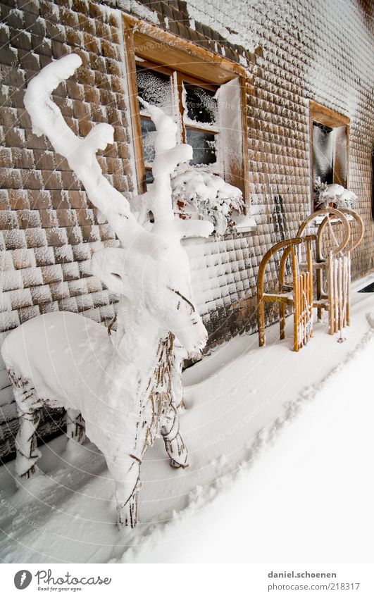 Schwarzwaldwinter Ausflug Winter Schnee Winterurlaub Klima Eis Frost hell kalt Schlitten Hirsche Horn Fassade Holz Schwarzwaldhaus Gedeckte Farben