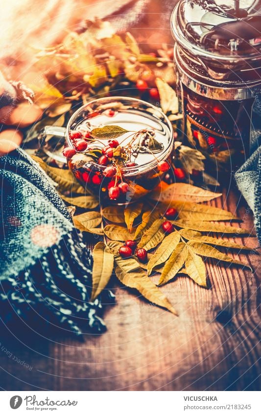 Tasse Tee mit Herbstbeeren Lifestyle Stil Design Alternativmedizin Gesunde Ernährung Leben Häusliches Leben Garten Halloween Natur gelb Stimmung Gesundheit