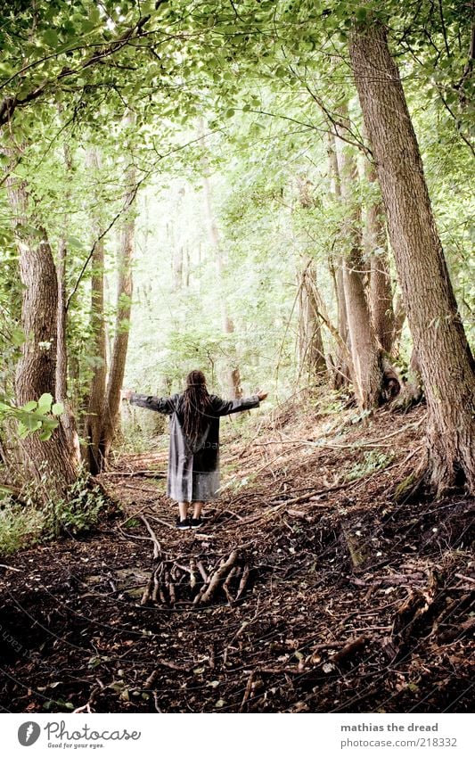 DER WALD UND ICH Mensch maskulin Umwelt Natur Landschaft Pflanze Sommer Schönes Wetter Baum Blume Sträucher Wald Mantel Umhang langhaarig Erholung genießen