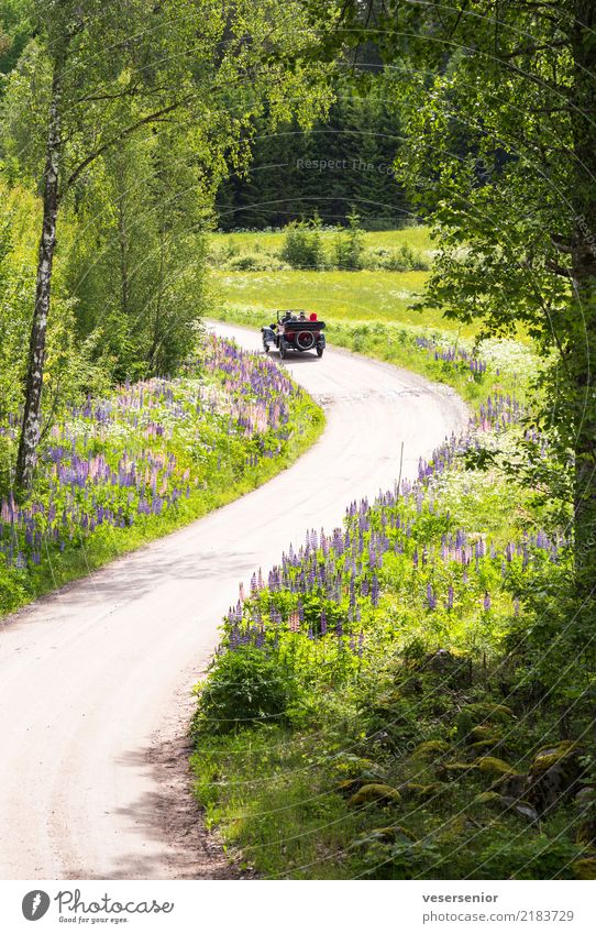 ausfahrt Lifestyle Stil Freizeit & Hobby Ausflug Sommer Mensch Leben Natur Landschaft Verkehr Autofahren Schotterstraße Fahrzeug PKW Oldtimer entdecken Erholung