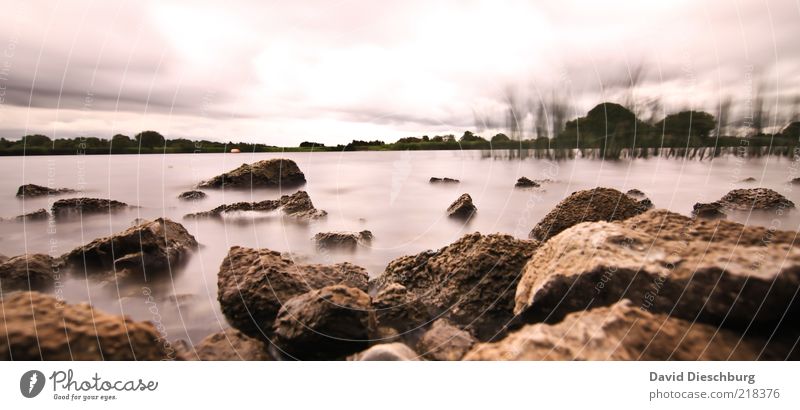 Seepanorama Natur Landschaft Pflanze Himmel Wolken Gewitterwolken Sommer Herbst Winter schlechtes Wetter Unwetter Wind Sturm Felsen Wellen Seeufer braun schwarz