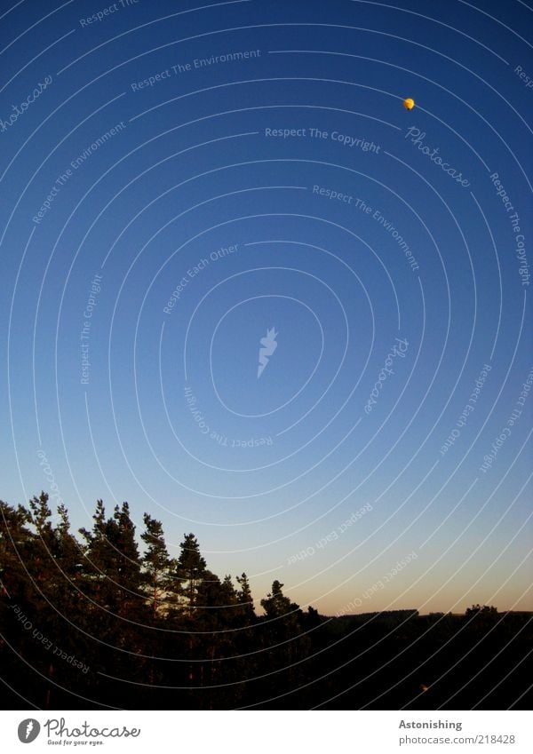 Mond?Stern?Ball?Sonne?Komet?Ballon? Umwelt Natur Landschaft Luft Himmel Wolkenloser Himmel Horizont Wetter Schönes Wetter Pflanze Baum Fluggerät Ballone fliegen