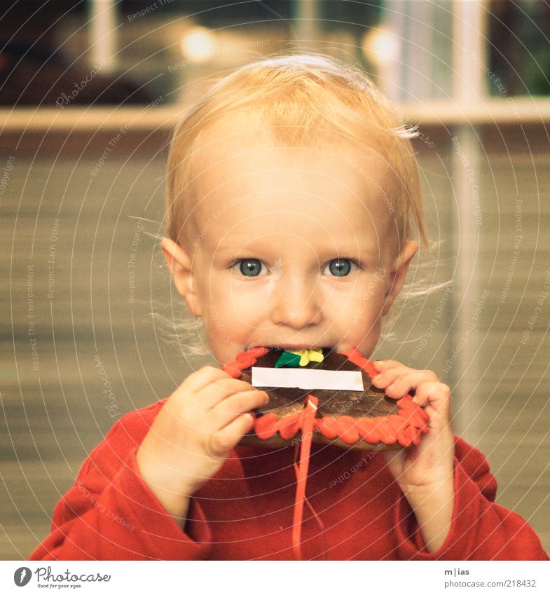 Naschfuchs mit Textfreiraum Teigwaren Backwaren Süßwaren Freude Zufriedenheit Essen Kind Kleinkind Kindheit Auge 1-3 Jahre Lebensfreude gefräßig Farbfoto