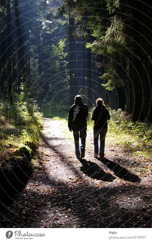 Wanderer im Herbstwald ruhig Mensch maskulin Junge Frau Jugendliche Junger Mann 2 Landschaft Sonnenlicht gehen wandern Zusammensein natürlich Gefühle Stimmung