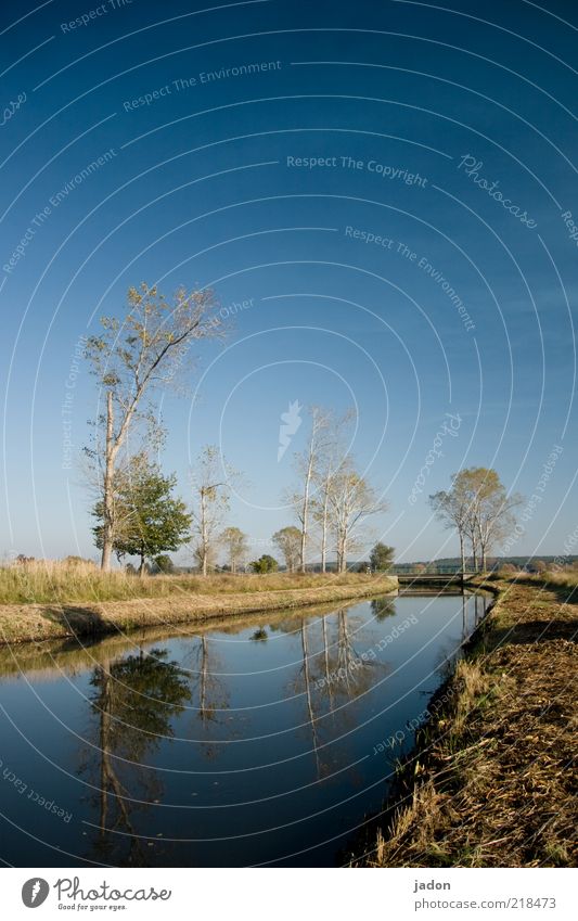 vor der brücke über den fluss Freiheit Landschaft Wasser Himmel Herbst Baum Flussufer Wasserstraße entdecken blau schön ruhig Brandenburg Naturschutzgebiet