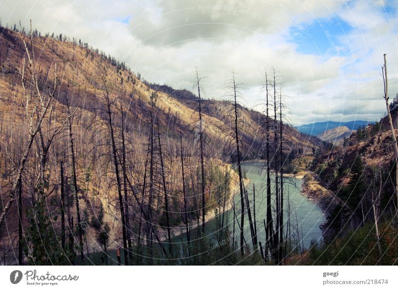 after the firestorm Umwelt Natur Landschaft Urelemente Erde Himmel Wolken Wärme Dürre Baum Wald Hügel Flussufer North Thompson River Kanada kaputt Desaster