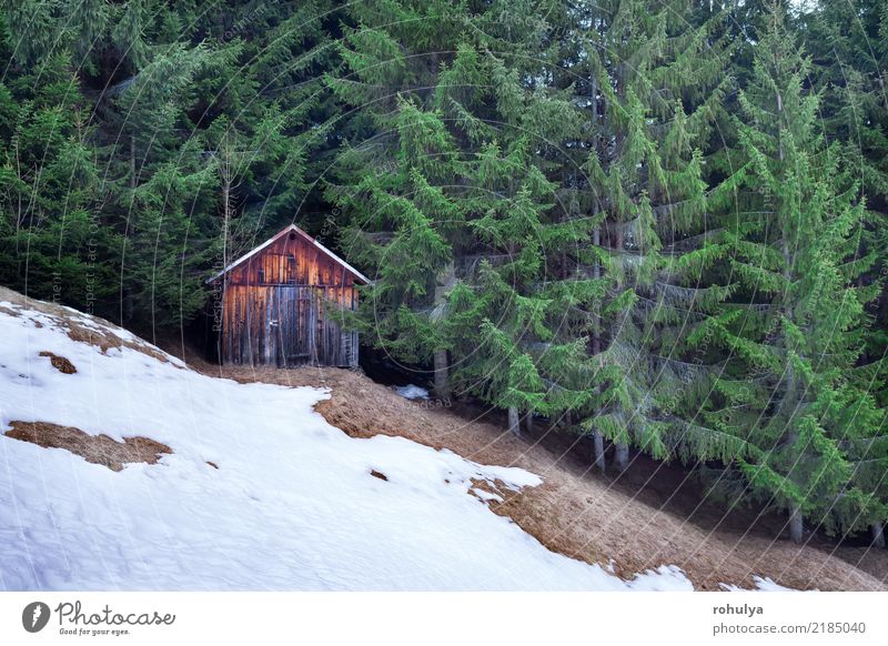 Holzhütte im Winter immergrünen Wald Jagd Ferien & Urlaub & Reisen Schnee Berge u. Gebirge wandern Haus Natur Landschaft Hügel Alpen Hütte Gebäude nadelhaltig