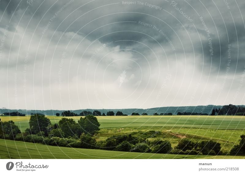 Schwäbische Alb Ferne Umwelt Natur Landschaft Wolken Sommer Wetter Wiese Feld Wald Hügel Ostalbkreis natürlich schön Heimweh Fernweh einzigartig Perspektive