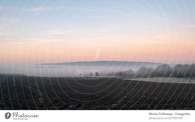 Nebellandschaft Natur Landschaft Erde Sand Himmel Wolken Horizont Sonne Sonnenaufgang Sonnenuntergang Sonnenlicht Herbst Winter Eis Frost Pflanze Baum Sträucher