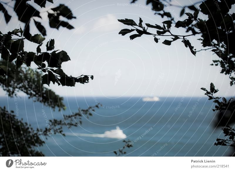 Kreuzfahrt Umwelt Natur Landschaft Urelemente Luft Wasser Himmel Sommer Klima Wetter Schönes Wetter Sträucher Küste Bucht Ostsee Meer Blick Schifffahrt Ausflug