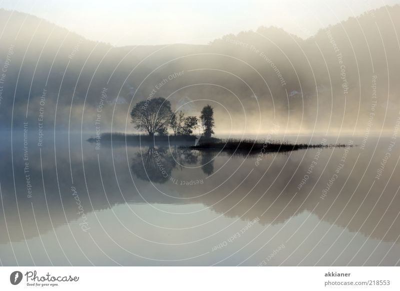 Morgens halb Zehn... Umwelt Natur Pflanze Himmel Herbst Nebel Baum Berge u. Gebirge Küste Seeufer Insel nass natürlich grau weiß Nebelschleier Nebelbank