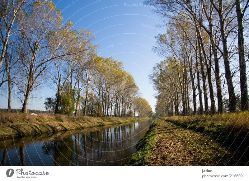 hinter der brücke über den fluss Umwelt Natur Landschaft Pflanze Wasser Herbst Baum Flussufer Straße Schifffahrt Unendlichkeit Zufriedenheit Wasserstraße