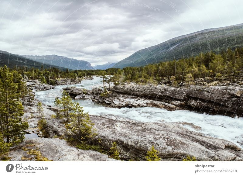 Irgendwo in Norwegen Umwelt Natur Landschaft Urelemente Erde Himmel Wolken schlechtes Wetter Sträucher Berge u. Gebirge Schneebedeckte Gipfel Gletscher Fjord