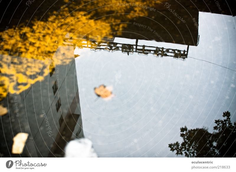 xi'an calling Umwelt kalt Asien Asphalt Xi'an China Pfütze Chinesisch Himmel Herbst Blatt Baum Wasser ungemütlich Unschärfe Farbfoto Gedeckte Farben Experiment