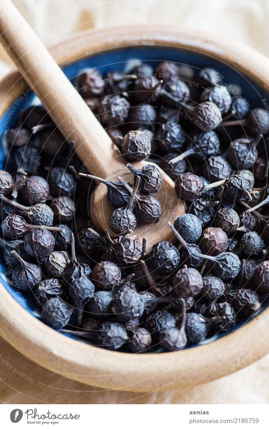 Kubeben-Pfeffer Kräuter & Gewürze Pfefferkörner Heilpflanzen Piper cubeba Pfeffergewächse Bioprodukte Schalen & Schüsseln Löffel blau braun getrocknet Korn