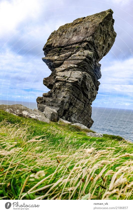 Überbleibsel Natur Landschaft Pflanze Urelemente Erde Himmel Gras Sträucher Wiese Felsen Küste Meer alt lang stark Nordirland Cliffs of Moher Monolith wild Riss