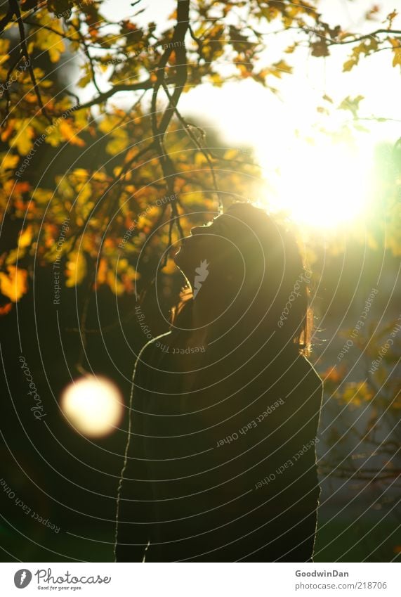 Der Sonne trotzen III Mensch feminin 1 Umwelt Natur Gefühle Stimmung schön Freiheit frei Unbeschwertheit Farbfoto Außenaufnahme Abend Dämmerung Schatten