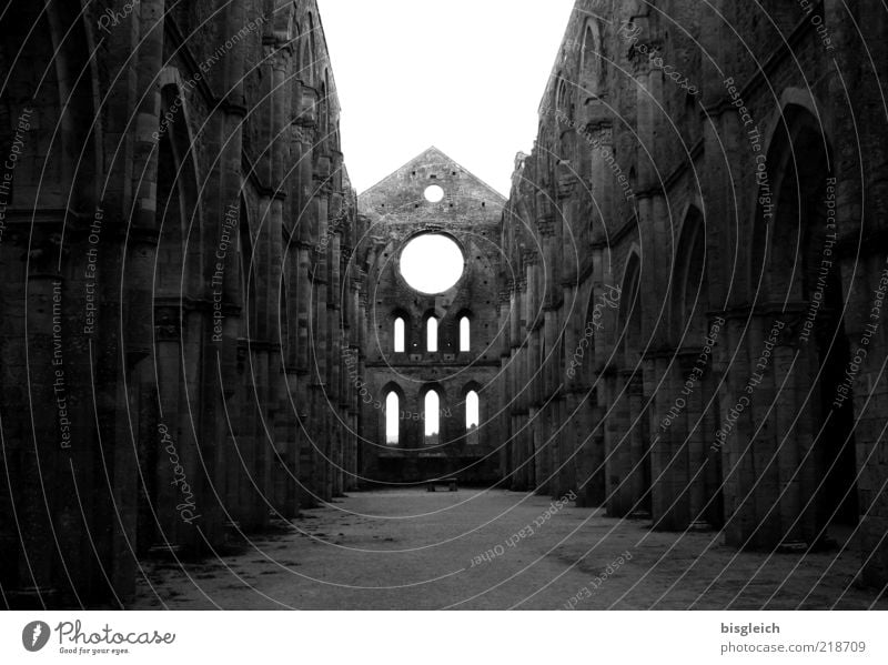 San Galgano (Italien) II Europa Kirche Ruine Fenster Mauer Sehenswürdigkeit Stein Respekt Einsamkeit Glaube Religion & Glaube ruhig Stimmung Toskana