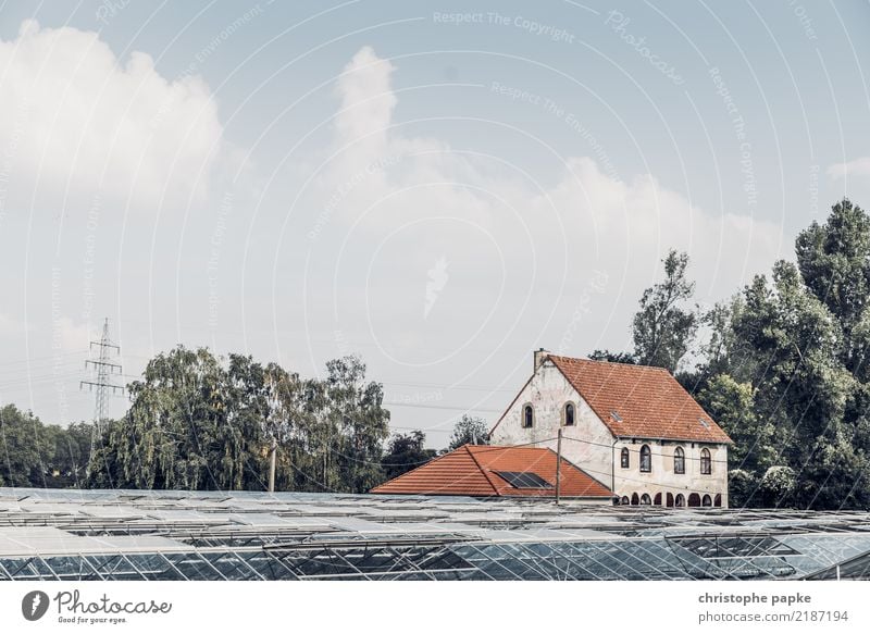 Traum vom Haus mit Potential Himmel Wolken Schönes Wetter Baum Düsseldorf Stadtrand Fassade alt bedrohlich Verfall Vergänglichkeit schlechter zustand Gebäude