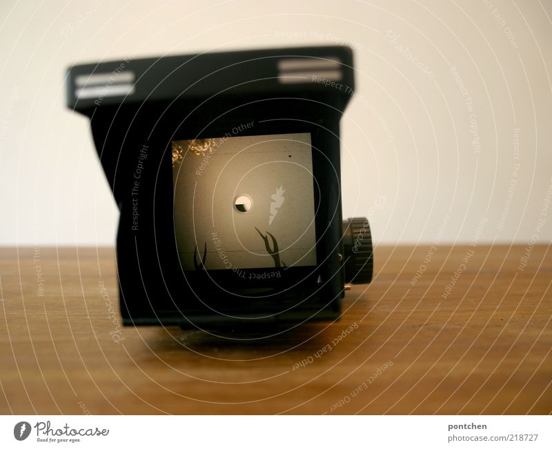 Durch den Sucher. Blick durch analoge mittelformatkamera Tisch Horn Mittelformat Fotokamera Holz alt braun schwarz weiß Nostalgie liegen Wand Farbfoto