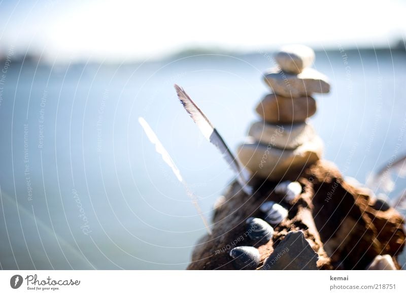 Steinmännchen am Rhein Wasser Sonnenlicht Sommer Herbst Schönes Wetter Feder Muschel Muschelschale Holz Zeichen hell Wegweiser Stapel Dekoration & Verzierung