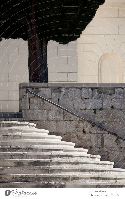 strenge Klarheit Ferien & Urlaub & Reisen Tourismus Sightseeing Sommer Schönes Wetter Baum Altstadt Menschenleer Bauwerk Architektur Mauer Wand Treppe Fassade