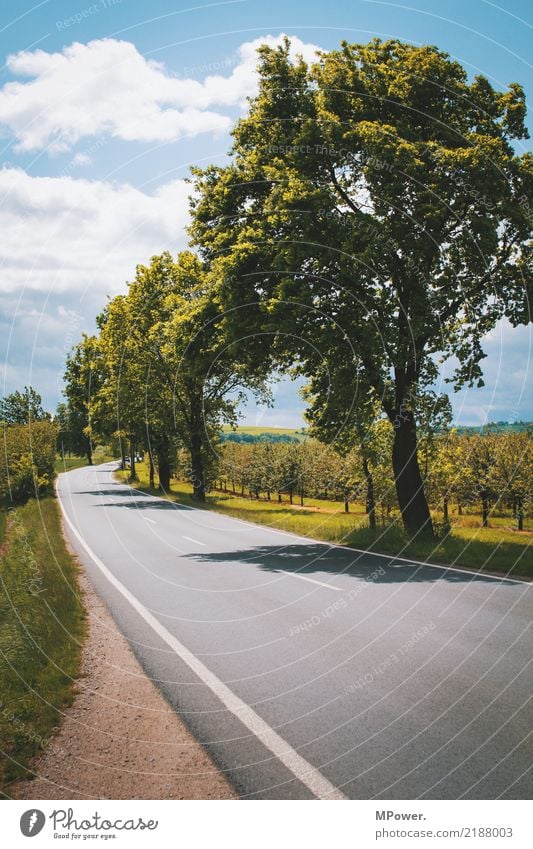 am straßenrand Umwelt Wolken Baum Verkehr Verkehrswege Straße Wege & Pfade Güterverkehr & Logistik Straßenrand Landstraße Obstbaum Reiseroute