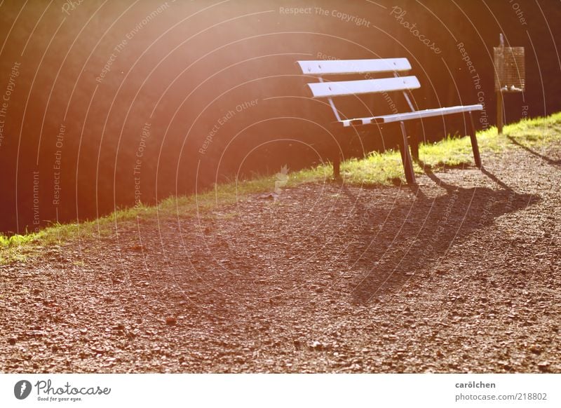 ... und hab im Rücken die letzte Wärme. Herbst Park braun grün ruhig Bank Wege & Pfade Schatten Pause Erholung Parkbank erholsam Farbfoto Gedeckte Farben