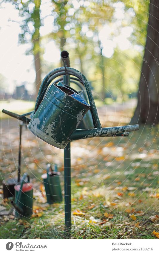 #AS# Friedhof Umwelt ästhetisch Garten Gießkanne Kannen gießen Park Farbfoto Gedeckte Farben Außenaufnahme Nahaufnahme Detailaufnahme Experiment abstrakt