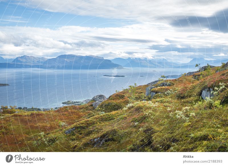 Blick auf norwegische Küste, Harstad Ferien & Urlaub & Reisen Landschaft Wolken Herbst Berge u. Gebirge Nordsee Meer Insel Fjäll Skandinavien Erholung ruhig