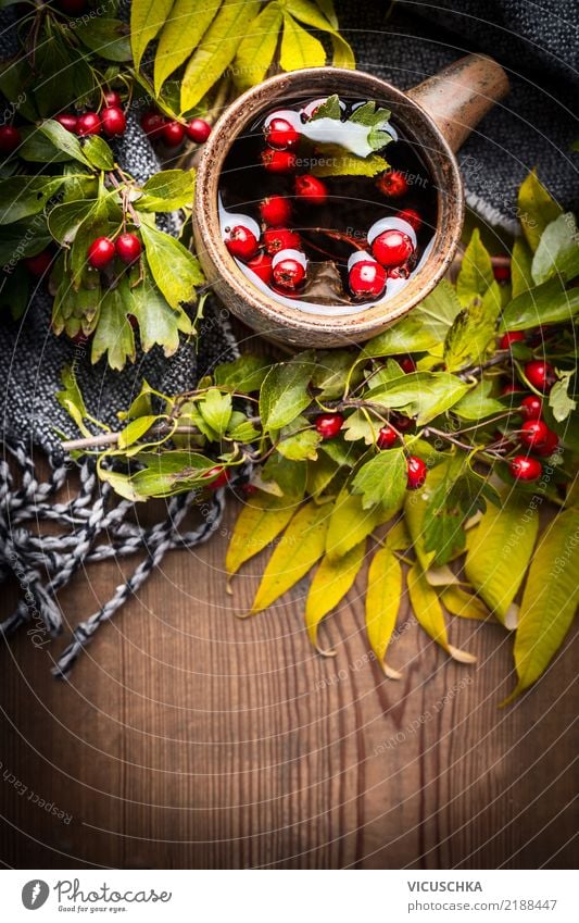 Tasse Tee mit Schal, Herbstlaub und Beeren Getränk Heißgetränk Stil Design Gesunde Ernährung Häusliches Leben Blatt Stimmung Holztisch Kräutertee Vitamin