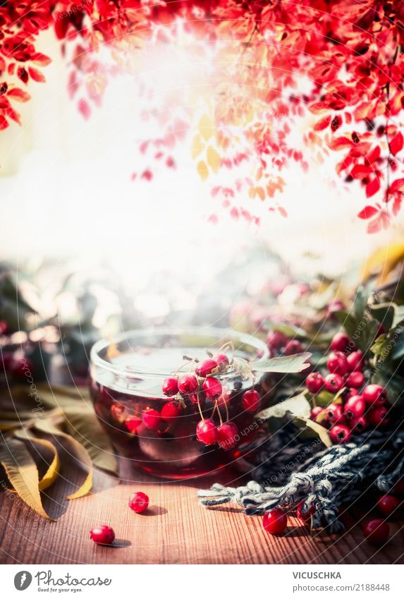 Tasse Tee mit roten Beeren auf herbstlichem Gartentisch Getränk Heißgetränk Lifestyle Design Leben Tisch Natur Pflanze Herbst Schönes Wetter Wärme Baum Blatt