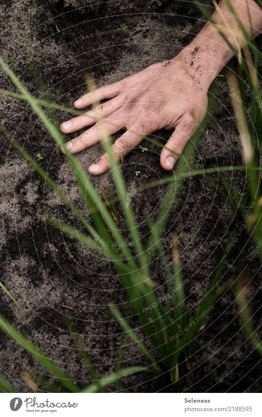 touch ground Freizeit & Hobby Gartenarbeit Hand Finger Umwelt Natur Gras Erde Park Wiese dreckig dunkel natürlich Farbfoto Außenaufnahme Detailaufnahme