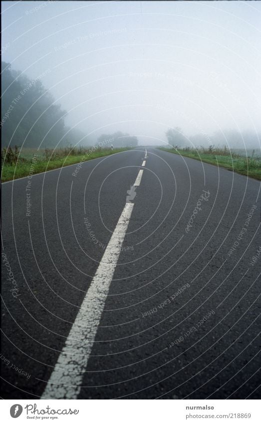 dem Nebel zu Ferne Freiheit Umwelt Landschaft Horizont Klima Verkehrswege Straße authentisch dünn ruhig Wege & Pfade Mittelstreifen Wegrand leer gehen