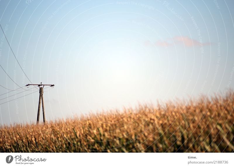 Stromwende Lebensmittel Landwirtschaft Forstwirtschaft Energiewirtschaft Technik & Technologie Erneuerbare Energie Hochspannungsleitung Strommast Himmel