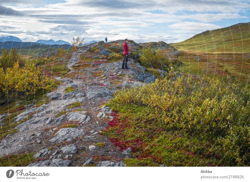 Herbstberge Ferien & Urlaub & Reisen Ausflug Abenteuer Berge u. Gebirge wandern 2 Mensch Landschaft Fjäll Norwegen Wege & Pfade laufen frei Unendlichkeit wild