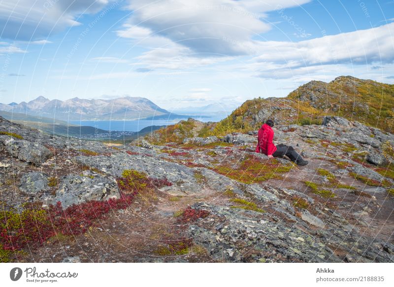 Über den Dingen harmonisch Zufriedenheit Erholung Ferien & Urlaub & Reisen wandern 1 Mensch Natur Landschaft Himmel Horizont Herbst Schönes Wetter Gipfel Insel