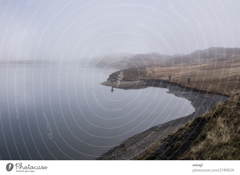 Tannensee Umwelt Natur Landschaft Herbst schlechtes Wetter Nebel Wiese See dunkel trist grau Fischer Traurigkeit Farbfoto Gedeckte Farben Außenaufnahme