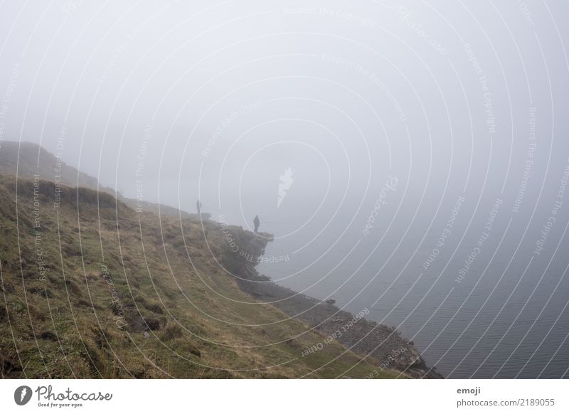 Tannensee Umwelt Natur Landschaft Herbst schlechtes Wetter Nebel Wiese See dunkel trist grau Fischer Traurigkeit Farbfoto Gedeckte Farben Außenaufnahme