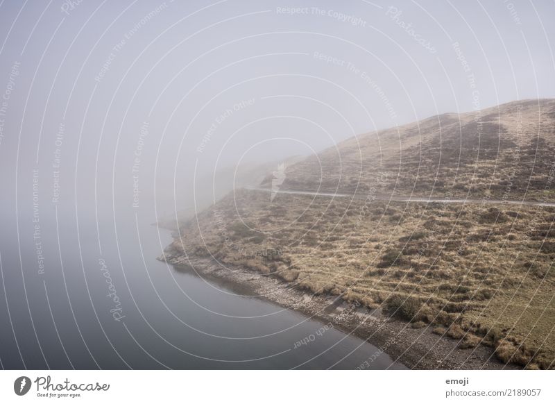 Tannensee Umwelt Natur Landschaft Herbst schlechtes Wetter Nebel Wiese See dunkel trist grau Fischer Traurigkeit Farbfoto Gedeckte Farben Außenaufnahme