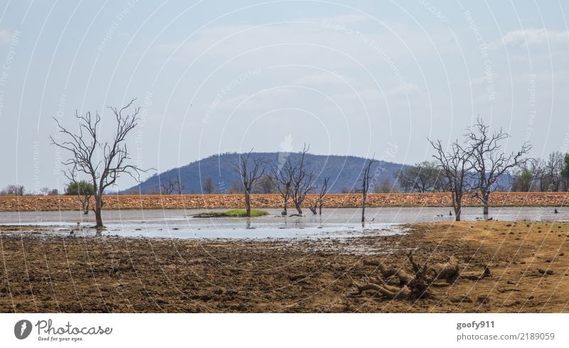 Ein bisschen Wasser..... Ferien & Urlaub & Reisen Tourismus Ausflug Abenteuer Ferne Freiheit Safari Expedition Sommer Umwelt Natur Landschaft Pflanze Tier Erde