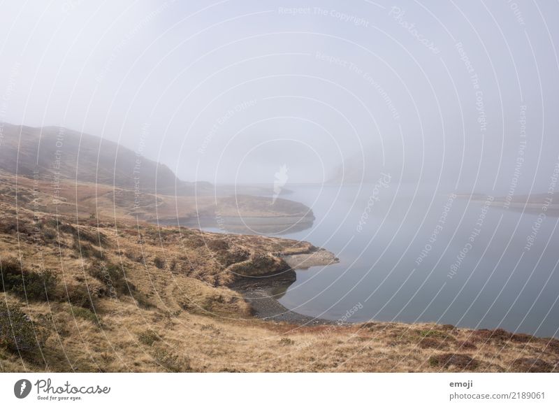 Tannensee Umwelt Natur Landschaft Herbst schlechtes Wetter Nebel Wiese See dunkel trist grau Fischer Traurigkeit Farbfoto Gedeckte Farben Außenaufnahme