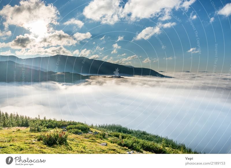 Grüne Berge in den Wolken schön Ferien & Urlaub & Reisen Tourismus Abenteuer Ferne Sommer Sonne Berge u. Gebirge wandern Umwelt Natur Landschaft Erde Luft