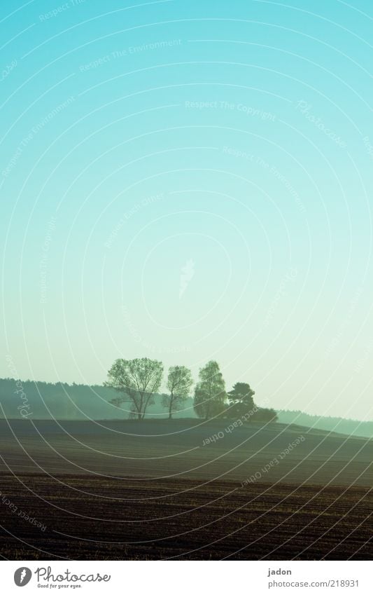 früh am morgen Ferne Freiheit Landschaft Erde Wolkenloser Himmel Herbst Nebel Baum Feld Wald Hügel ruhig Stimmung Wäldchen Morgennebel Landwirtschaft Einsamkeit