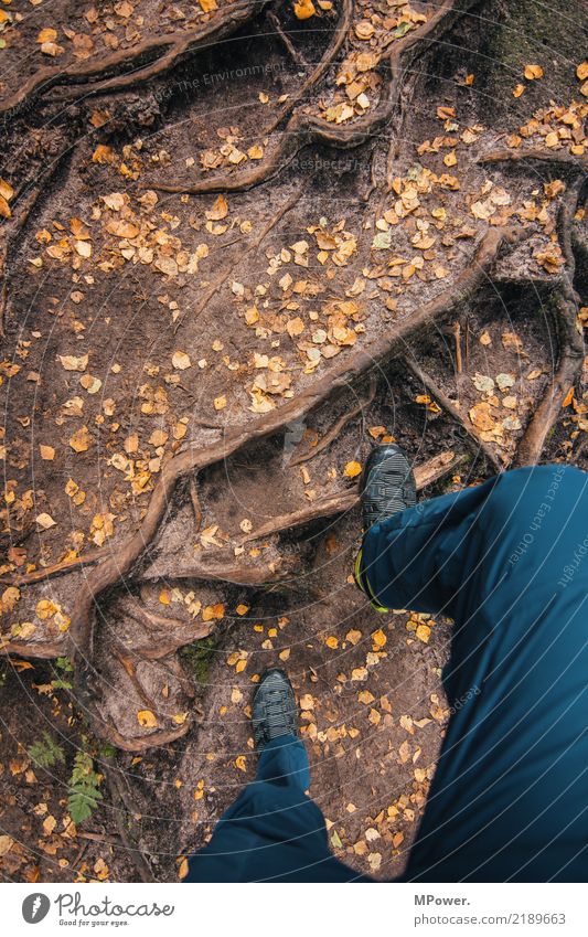 über stock und stein Lifestyle Freizeit & Hobby Mensch maskulin Beine 1 gehen wandern Wanderschuhe Wurzel Wurzelholz Blatt aufsteigen Bewegung Aktion Waldboden