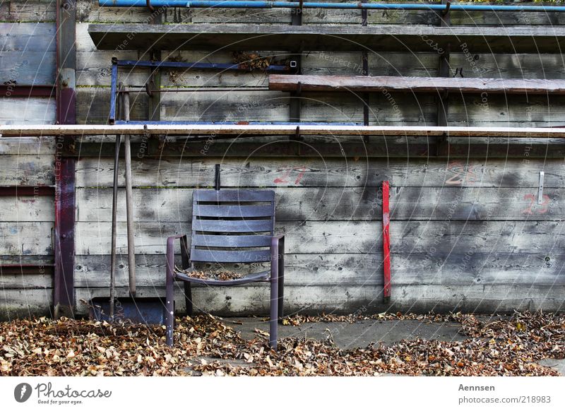 schwerer Stuhlgang Garten Besen Schaufel Umwelt Herbst Blatt Menschenleer Platz Mauer Wand Holz Rost alt trist Stimmung Einsamkeit ästhetisch ruhig stagnierend