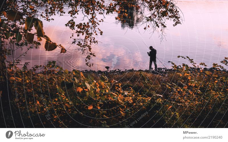 angleridylle Freizeit & Hobby Angeln Mensch maskulin 1 Umwelt Natur Schönes Wetter Gefühle Freude Angelrute Reflexion & Spiegelung Herbst Küste Elbe Flussufer