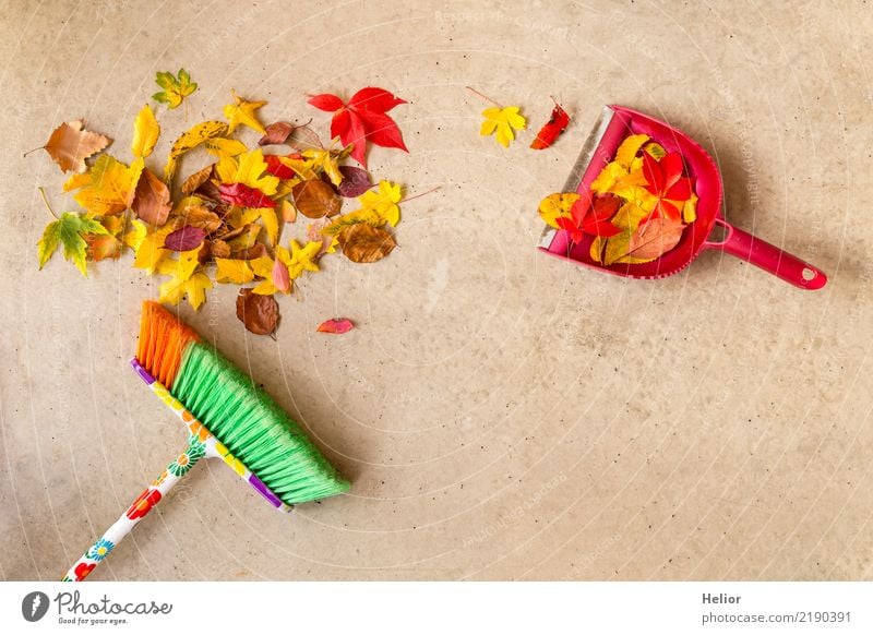 Herbstliche Putzaktion mit trockenem, farbigem Laub Garten Natur Pflanze Park Beton Reinigen Sauberkeit gelb grau grün rot Ordnungsliebe Reinlichkeit rein